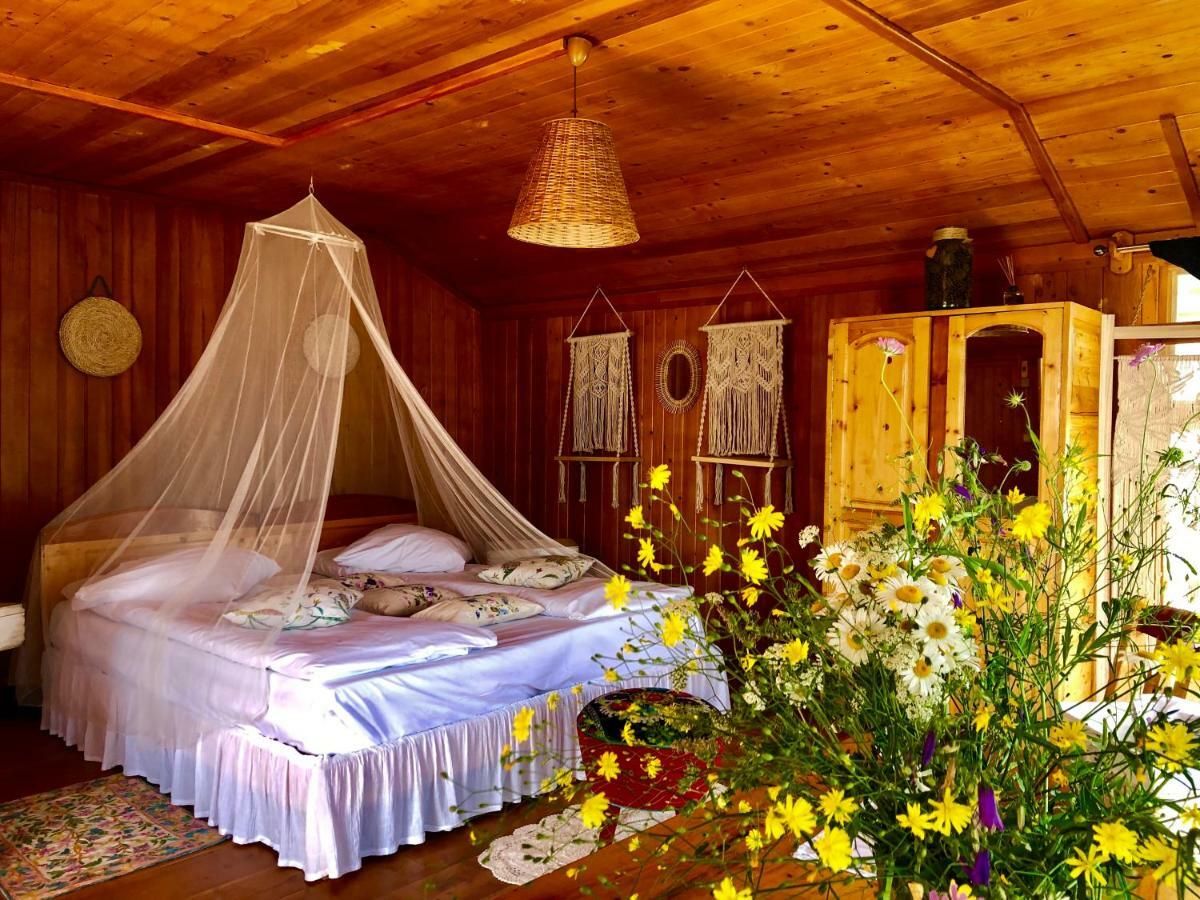 Villa Dream Tricule Svinita Exterior foto